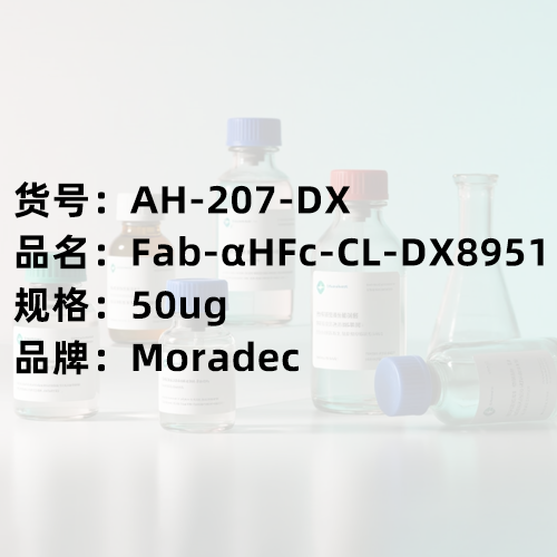 拓撲異構酶I抑制劑+可切割連接子：AH-207-DX的‘雙引擎’設計邏輯