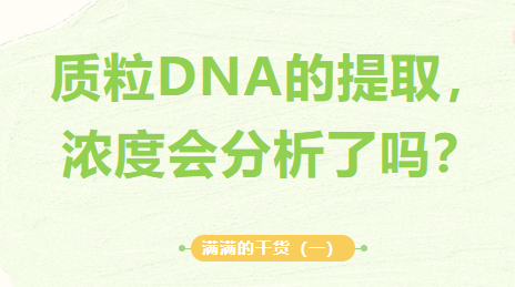 滿滿的干貨（一）：質粒DNA的提取，濃度會分析了嗎？