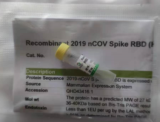 pShuttle-CMV-N-Myc（腺病毒質粒）實驗操作説明