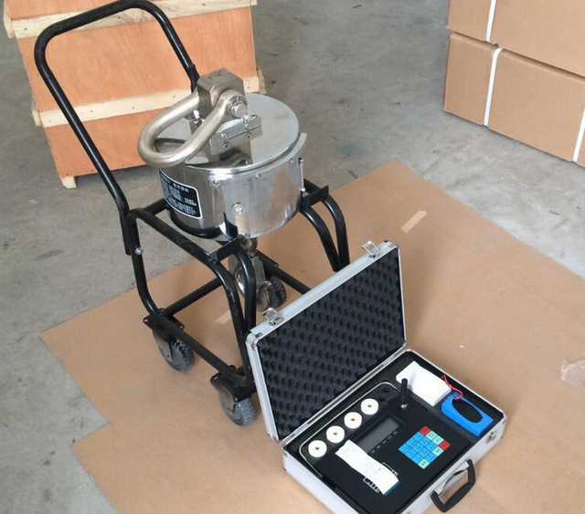 5噸電子掛鉤稱
