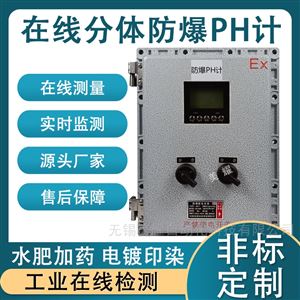 工業(yè)在線PH檢測(cè)儀強(qiáng)酸強(qiáng)堿水產(chǎn)養(yǎng)殖PH儀