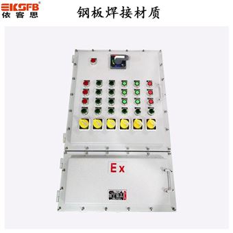 BXK依客思非标定制防爆电控箱