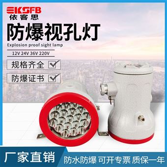 BSD（BZA)-10W防爆免维护LED视孔灯