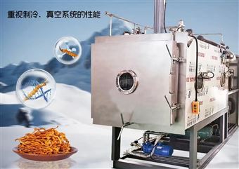 LYO-2E生产型冻干机