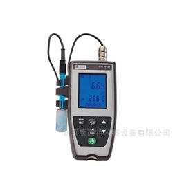 法国CA CA10101/CA10101E PH计