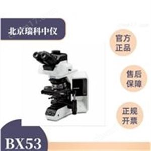 奥林巴斯生物显微镜BX53的用途