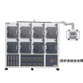 STM-9-12-8高通量箱式茄子视频懂你更多污
