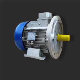 TFP63A意大利M.T. Motori三相自制動電機(jī) 原廠采購