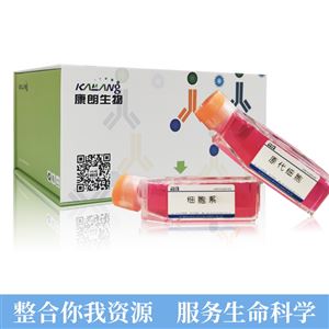 PK-59（人胰腺癌细胞）