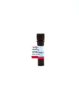 PQ5350脂多糖(LPS)来源于大肠杆菌 O55:B5