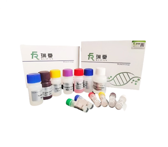 仓鼠基质金属蛋白酶9/明胶酶Belisa试剂盒