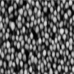 油溶性銀納米顆粒