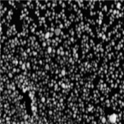 水溶性銀納米顆粒20nm