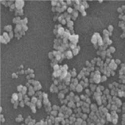 二氧化鋯磁珠50nm