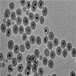 PEG修飾金納米顆粒
