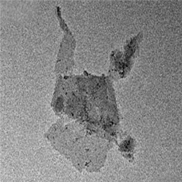 罗丹明标记的Ti3C2Tx MXene