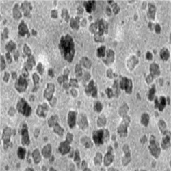 Mn3O4 NPs，四氧化三锰纳米颗粒