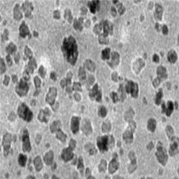Mn3O4 NPs，四氧化三锰纳米颗粒