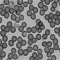 中空介孔二氧化锰纳米颗粒