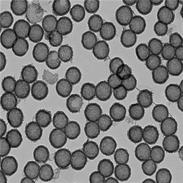 中空介孔二氧化锰纳米颗粒