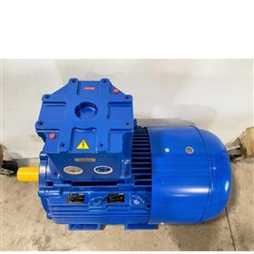 OEMER 标准法兰直流电机用于自动化设备