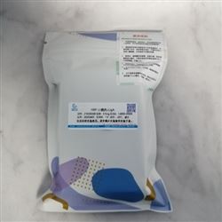 HRP-小鼠抗人IgA(α鏈特異性)