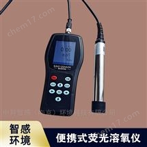 便携式溶解氧测定仪 水质检测仪DO分析仪