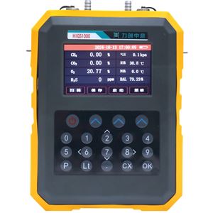 HIGS1000手持式沼氣檢測儀