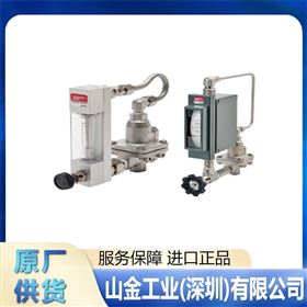 精选TOKYOKEISO东京计装 吹扫流量计 P-510-L0