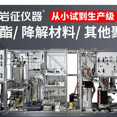 聚氯乙烯聚合釜巖征儀器