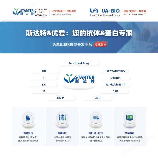人ANGPT2蛋白(His標(biāo)簽)