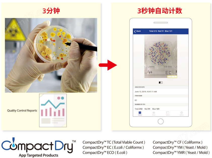 微生物快速測試片—霉菌與酵母