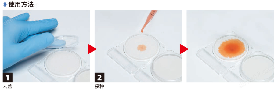 微生物快速測試片—銅綠假單胞菌