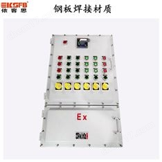 BXK依客思非標定制防爆電控箱