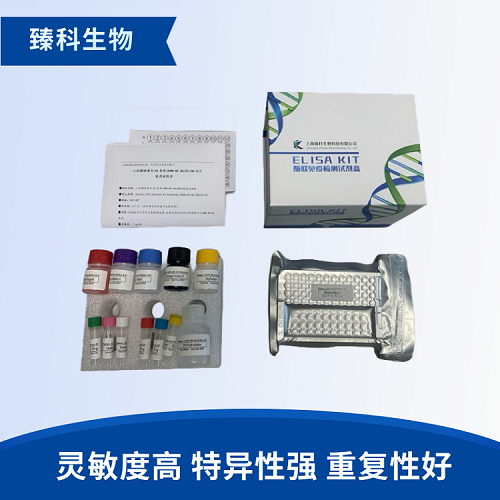 人β淀粉樣多肽42(Aβ 42）酶聯(lián)免疫試劑盒使用說明書