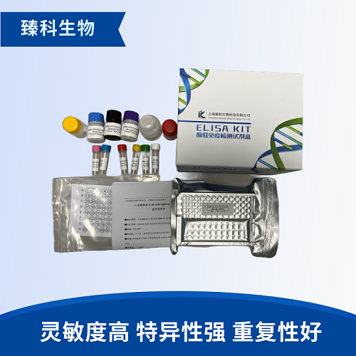 人β防御素104(DEFB104A）酶聯(lián)免疫試劑盒使用說明書