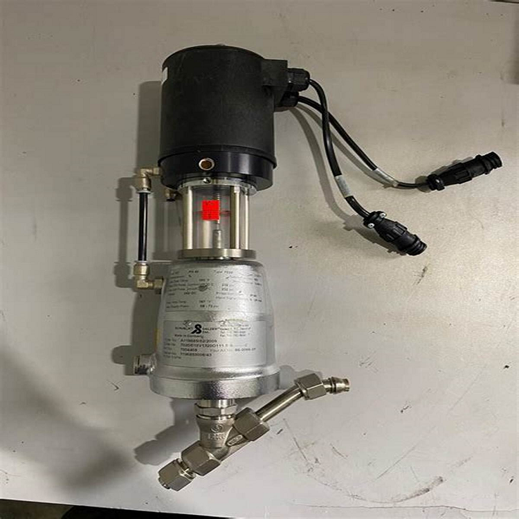 Schubert Salzer 8041/065VA010EM高流量精度