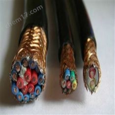 DJYVP-22-9*2*1.5屏蔽計(jì)算機(jī)電纜
