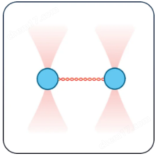 免校準(zhǔn)生物型光鑷-SENSOCELL