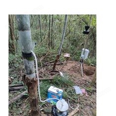 樹干截流采集系統(tǒng)