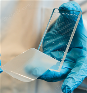 秀麗隱桿線蟲模式生物自動化高通量篩選平臺