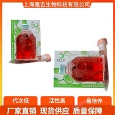 DCS細胞,肉瘤細胞小鼠樹突狀細胞ATCC