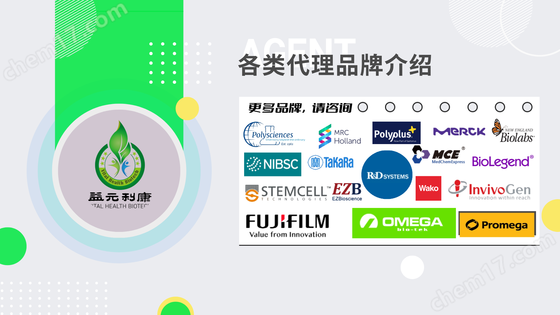 Anti-beta Actin抗體AC-15