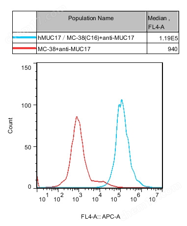 hMUC17/MC-38