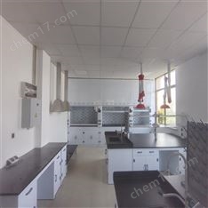 煙臺實驗室PP通風櫥耐酸堿通風柜 盛翔