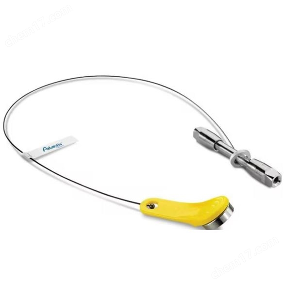 Atlantis Premier BEH C18 AX色譜柱5µm 95Å