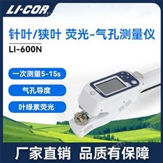 針葉/狹葉熒光-氣孔計