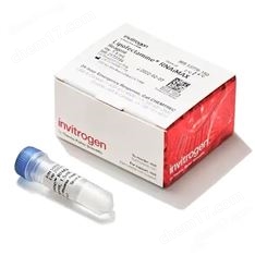 Lipofectamine RNAiMAX轉染試劑