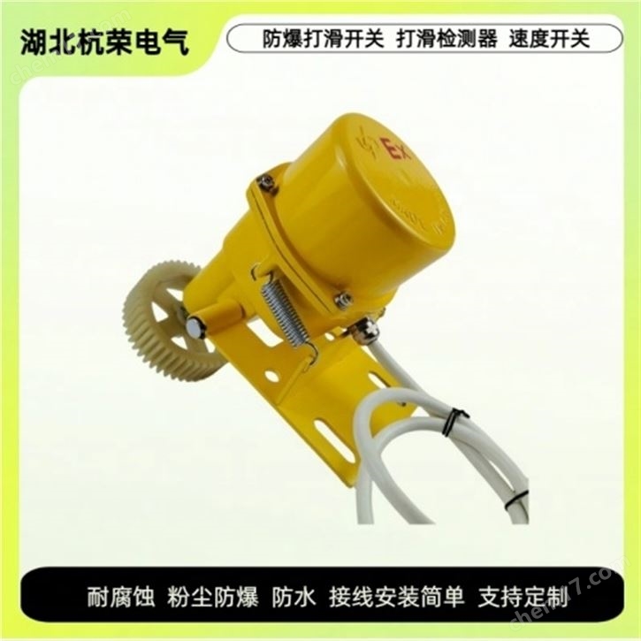 XTD-P打滑開關(guān)