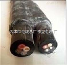 天津MY預(yù)分支橡套電纜 MY 3*6+3*2.5礦用電纜廠家
